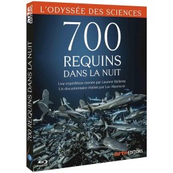 700 REQUINS DANS LA NUIT -...
