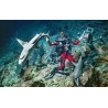700 REQUINS DANS LA NUIT - DVD + BLU-RAY