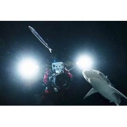 700 REQUINS DANS LA NUIT - DVD + BLU-RAY