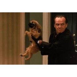 Pour le pire et pour le meilleur - BLU RAY - IMPORT