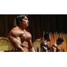 PUMPING IRON - BLU RAY - IMPORT