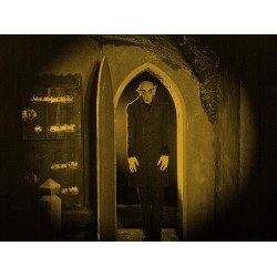 NOSFERATU le vampire - VERSION RESTAUREE 2K - COMBO DVD + BLU-RAY - EDITION FUTURPACK - LIMITEE