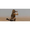 REVENGE - BLU RAY