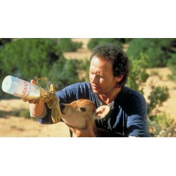 La Vie, l’Amour, les Vaches - Édition Scanavo - Combo Blu-ray + DVD + 1 livret de 28 pages