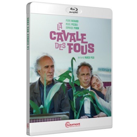 LA CAVALE DES FOUS - BLU RAY