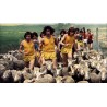 LES FOUS DU STADE - BLU RAY