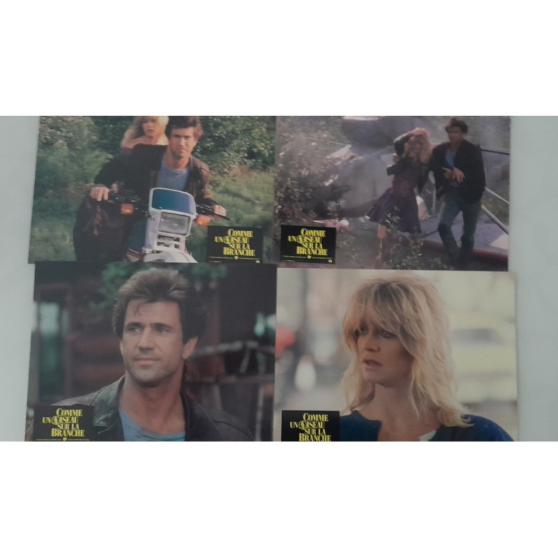 COMME UN OISEAU SUR LA BRANCHE  - 11 PHOTOS D'EXPLOITATION