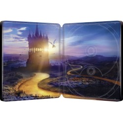 WICKED : PARTIE II - 4K UHD + BLU RAY - STEELBOOK - IMPORT