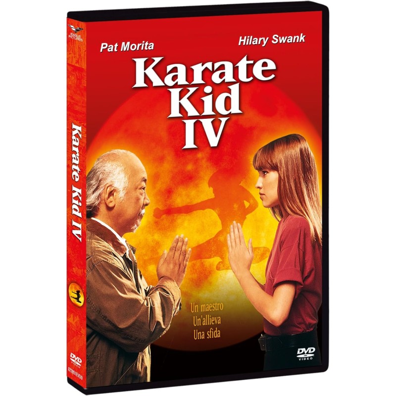 MISS KARATE KID ( KARATE KID 4 ) - DVD