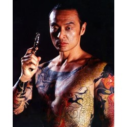 DANS LES GRIFFES DU DRAGON ROUGE - DVD