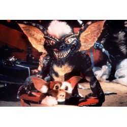 Gremlins Collection : Gremlins 1 + Gremlins 2 - Blu Ray