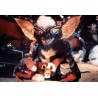 Gremlins Collection : Gremlins 1 + Gremlins 2 - Blu Ray