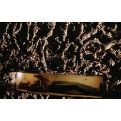 KILL BILL : vol 2 - BLU RAY