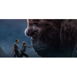 Godzilla & Kong : Collection 4 Films