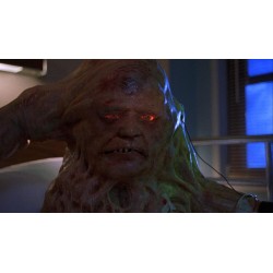 Basket Case 2 ( Frère de Sang 2 ) - BLU RAY