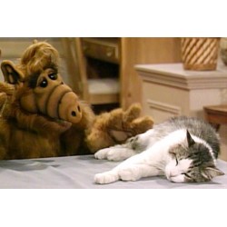 ALF - L'intégrale de la série - DVD