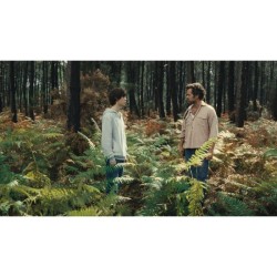 LE REGNE ANIMAL - BLU RAY