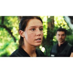 LE REGNE ANIMAL - BLU RAY