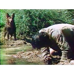 LES CROCS DU DIABLE - BLU RAY