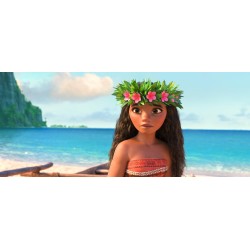 VAIANA, LA LEGENDE DU BOUT DU MONDE - 3D + BLU RAY BONUS - STEELBOOK