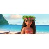 VAIANA, LA LEGENDE DU BOUT DU MONDE - 3D + BLU RAY BONUS - STEELBOOK