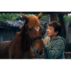 RIDE ON - COMBO DVD + BLU RAY