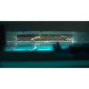 NIGHT SWIM - BLU RAY