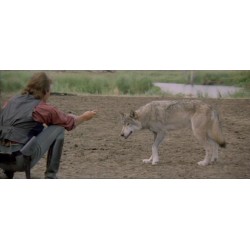 DANSE AVEC LES LOUPS - BLU RAY